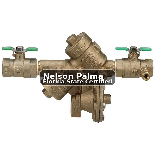 Approved Palma High-Grade backflow prevention service visual